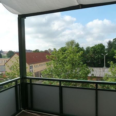 Fewo Dresden-Trachau ภายนอก รูปภาพ