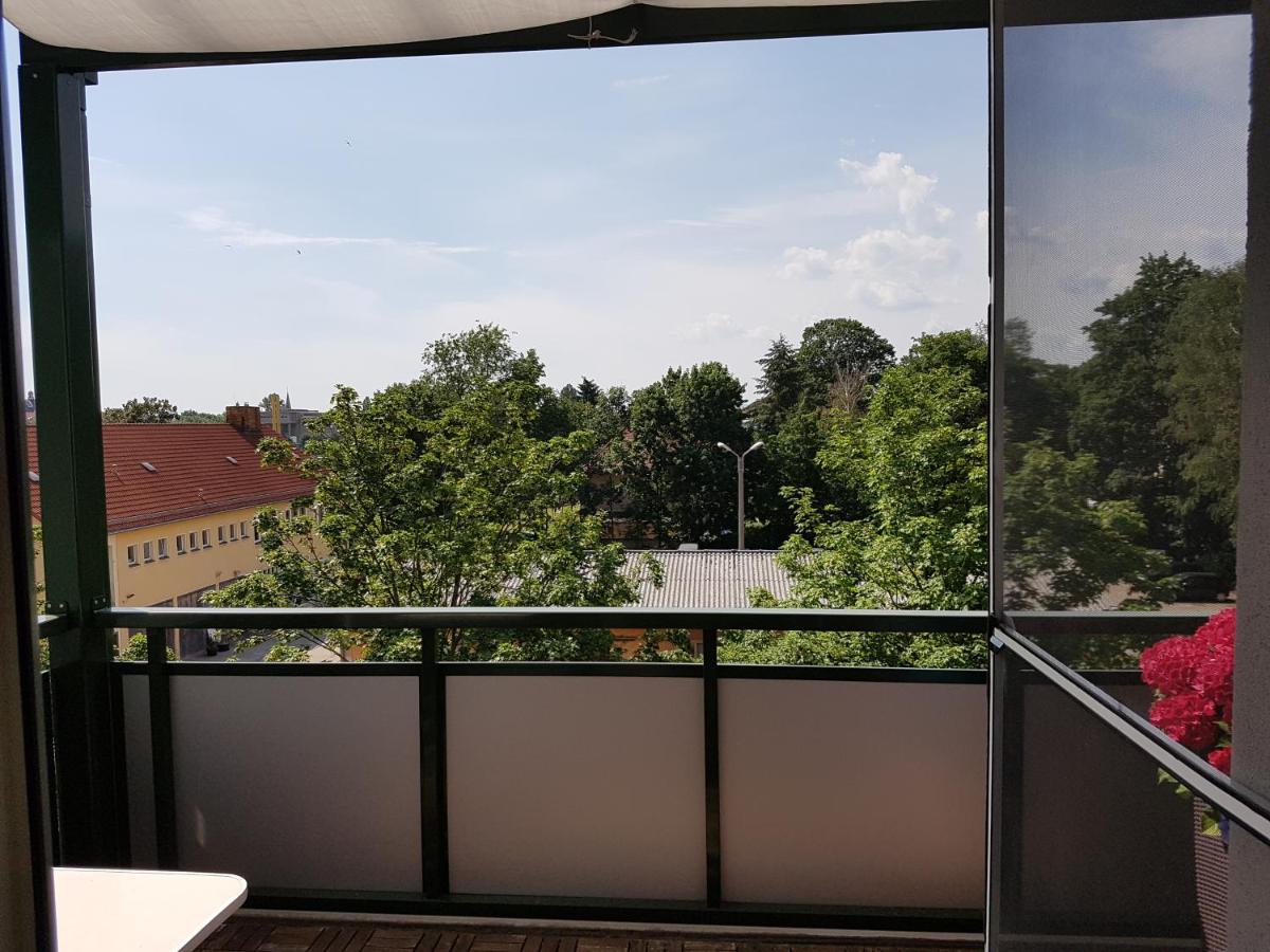 Fewo Dresden-Trachau ภายนอก รูปภาพ